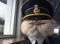俄罗斯猫船长：有制服有下属 尽职尽责人气高