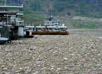重庆长江西沱码头被漂浮垃圾包围 船停垃圾上