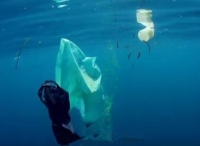 IMO国际海事组织探讨解决海洋垃圾问题新法