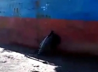 突发！一艘中国货船油舱 在俄罗斯港口被撞破