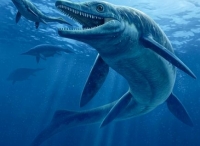 古生物学家发现2.44亿年前汽车大小的海洋怪物
