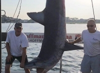 船员花90分钟钓上840斤鲨鱼 打破记录