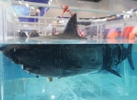 国产仿生鲨鱼机器人亮相北京军博会