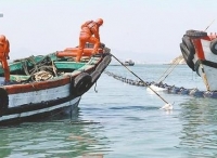 渔船在湄洲湾海域触礁 6名船员获救安全脱险