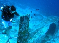 日媒：70多年前日本沉没军舰如今成菲律宾潜水胜地