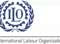 我国和国际劳工组织连线磋商疫情期间船员劳动权益问题