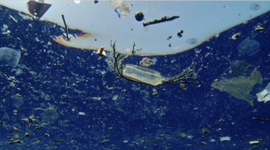 海洋塑料垃圾每年会造成1500万海洋生物死亡