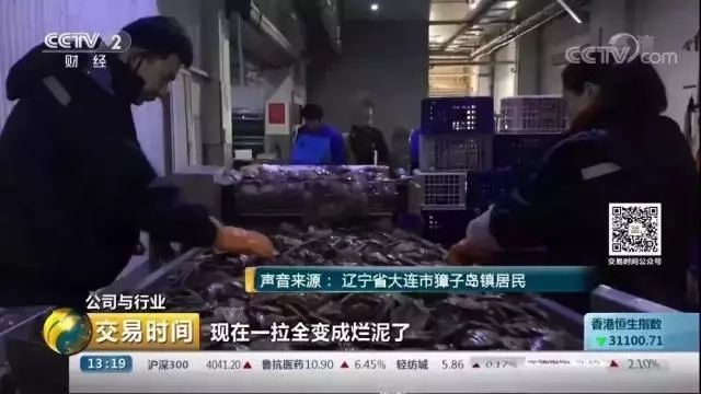 獐子岛扇贝死了:船员揭露天灾是借口 员工涉监守自盗